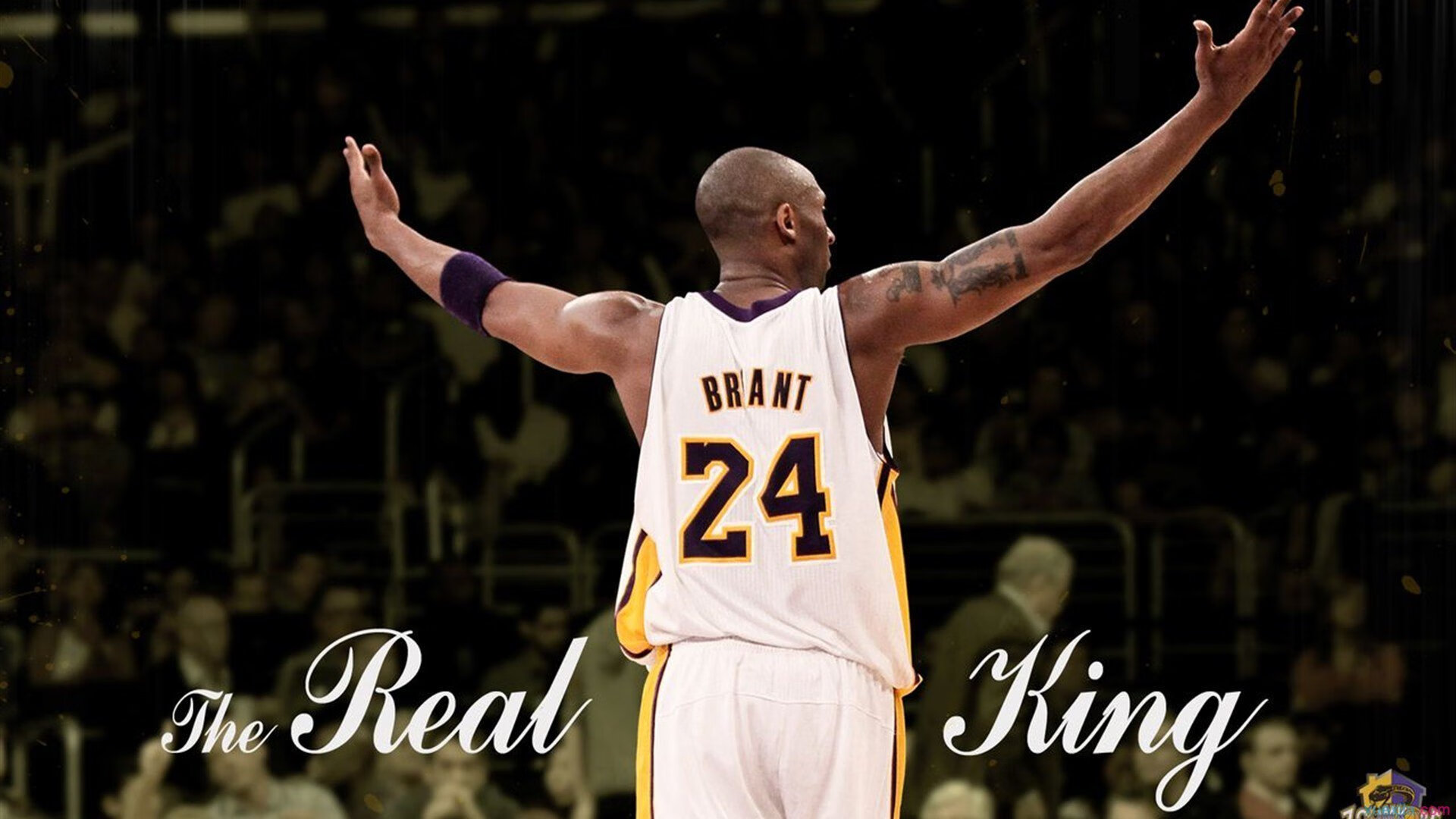 哈兰德回归赛场,逆转首场状态亮眼,德国队观众沸腾!